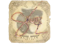 Skin's image