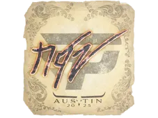 Skin's image