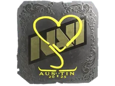 Skin's image