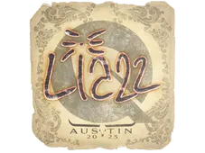 Skin's image