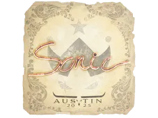Skin's image