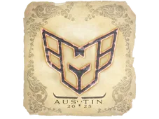 Skin's image
