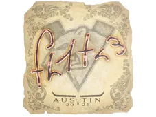 Skin's image
