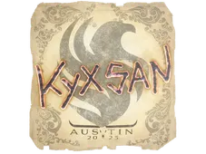 Skin's image