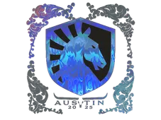 Skin's image