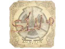 Skin's image