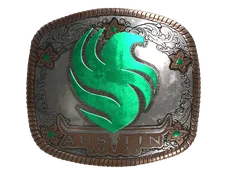 Skin's image