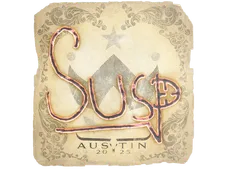 Skin's image