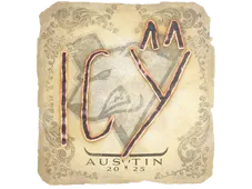 Skin's image