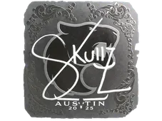 Skin's image