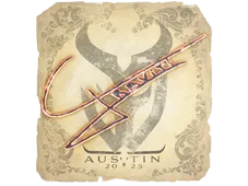 Skin's image