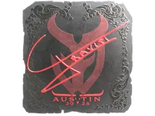 Skin's image