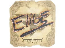 Skin's image
