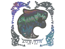 Skin's image