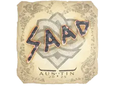 Skin's image