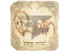 Skin's image