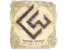 Skin's image