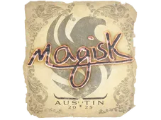Skin's image