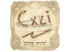 Skin's image