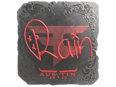 Skin's image