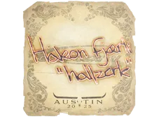 Skin's image