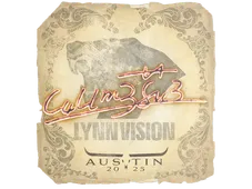 Skin's image