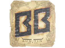 Skin's image