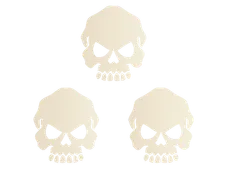 Skin's image