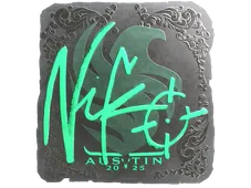 Skin's image