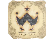 Skin's image