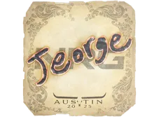 Skin's image