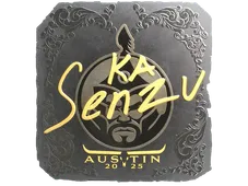 Skin's image