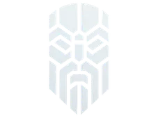 Skin's image