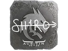 Skin's image