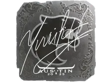 Skin's image
