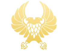 Skin's image