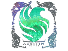 Skin's image