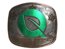 Skin's image