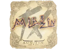 Skin's image