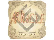 Skin's image