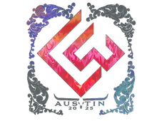 Skin's image