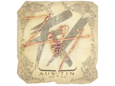 Skin's image