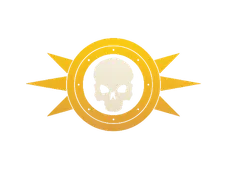Skin's image