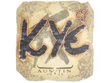 Skin's image