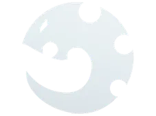 Skin's image