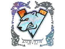 Skin's image