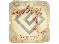 Skin's image