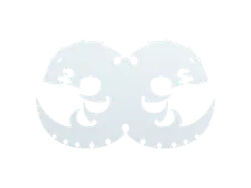 Skin's image