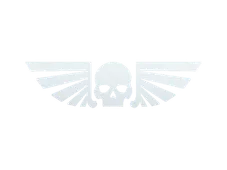 Skin's image