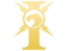 Skin's image